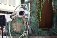 Jungle Five 66 * 5616 x 3744 * (6.3MB)